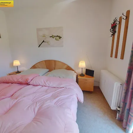 Apartment Petra Bad Mitterndorf